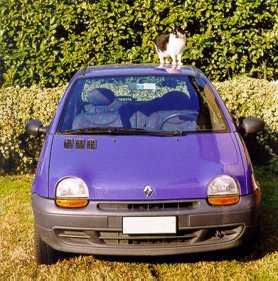 twingo